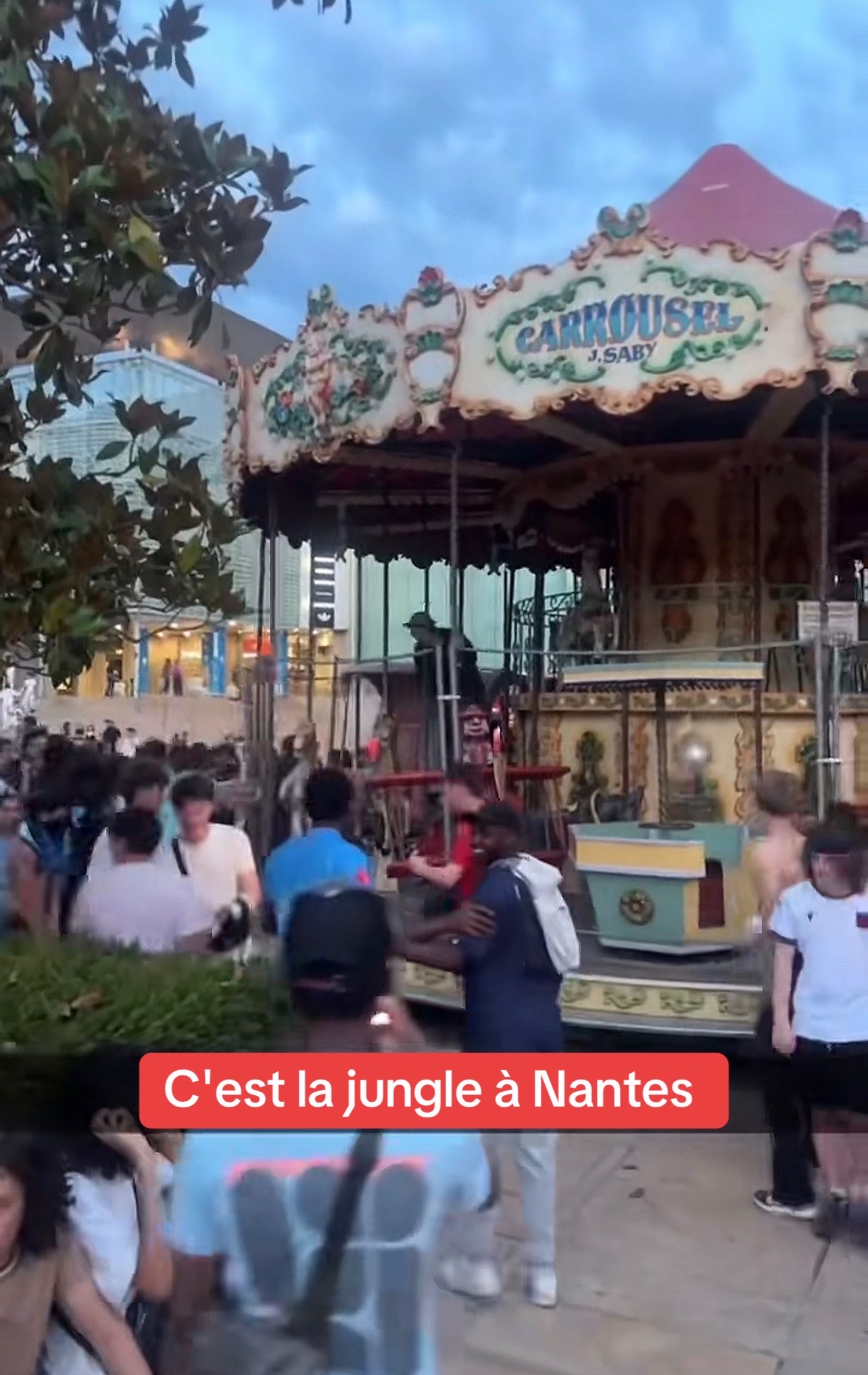 C&rsquo;est la jungle !