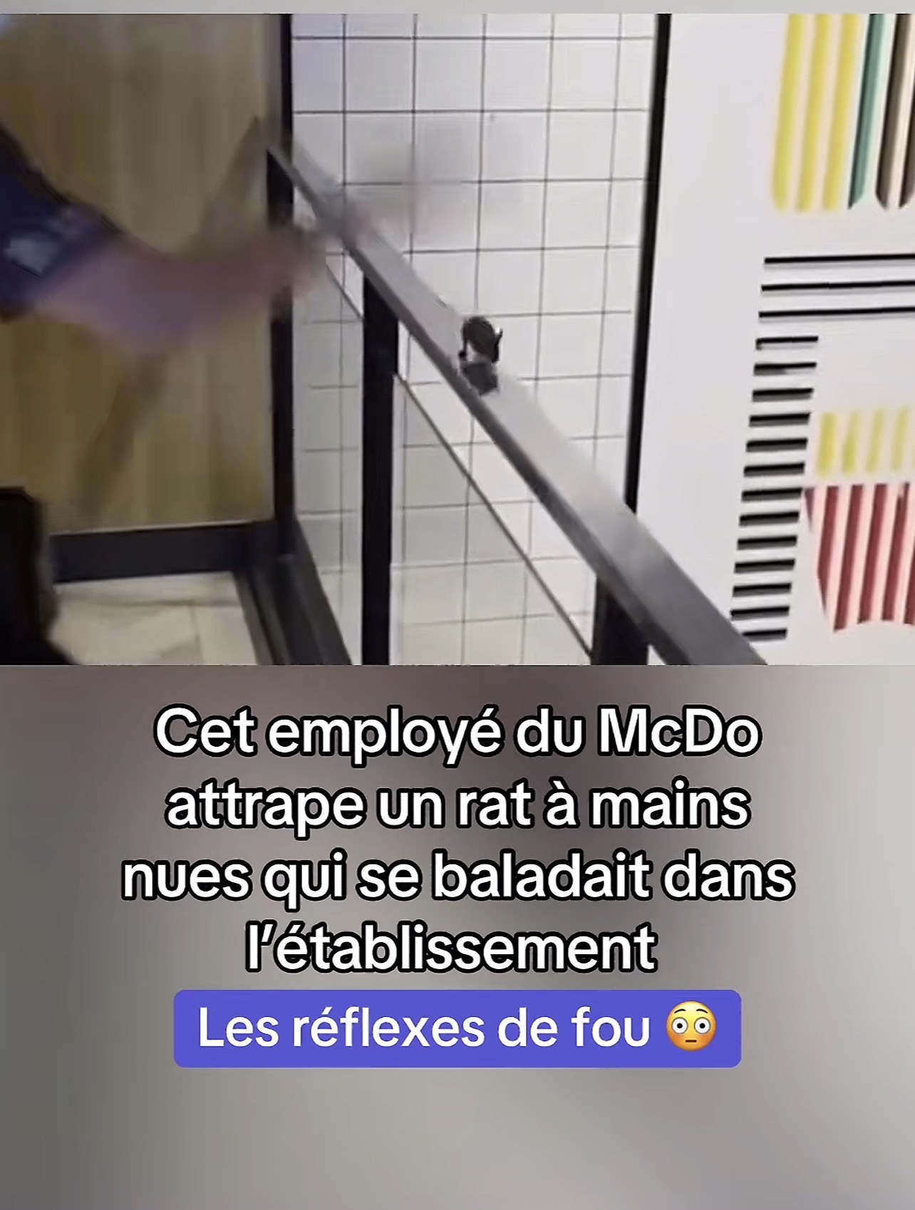 Cet employé du McDo attrape un rat à mains nues qui se baladait dans l&rsquo;établissement